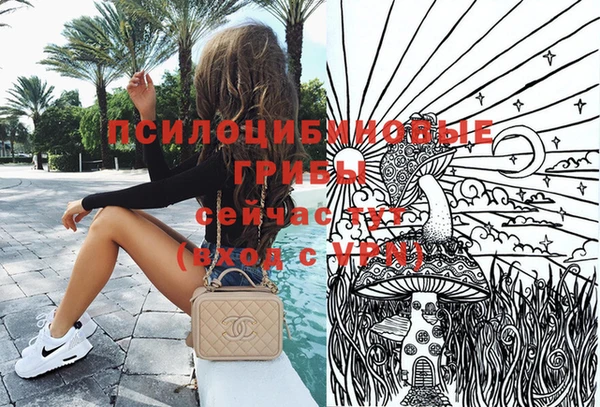 крисы Бронницы