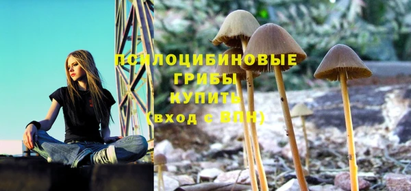 крисы Бронницы