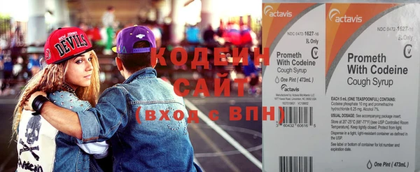 крисы Бронницы