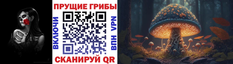 Псилоцибиновые грибы мухоморы  Купить  Волоколамск 